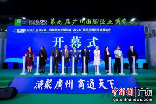 廣州國際漁博會集中呈現(xiàn)全品類水產 生猛海鮮亮相