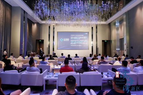 共謀灣區(qū)未來發(fā)展,東莞濱海灣機器視覺與高端裝備投資合作交流會成功舉辦